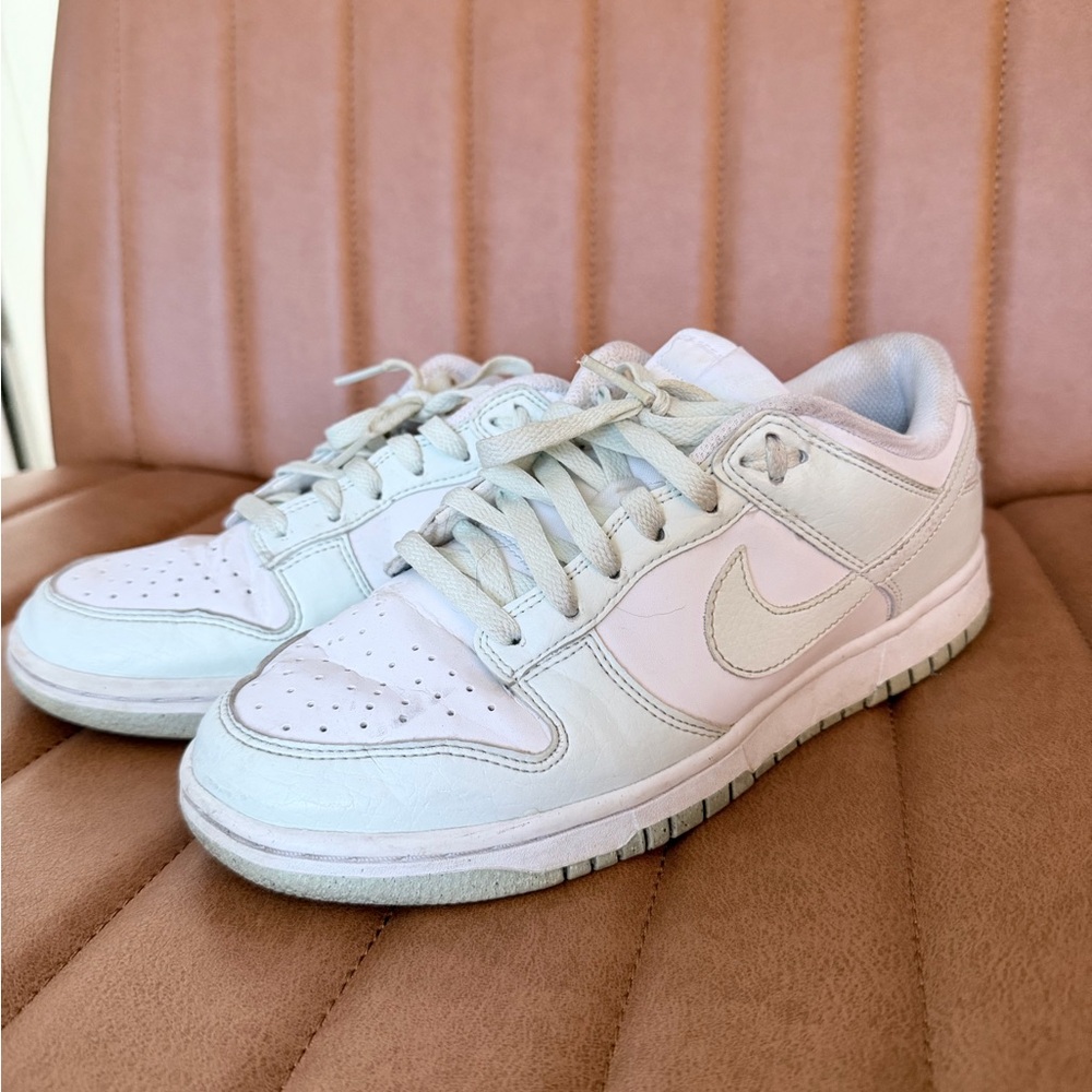 Women Nike Dunks